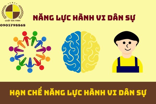 Hạn chế năng lực hành vi dân sự